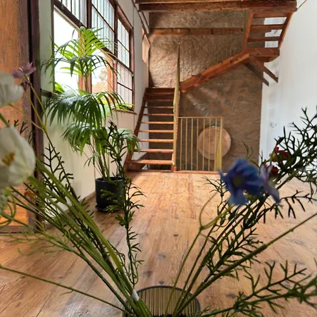 Ξενοδοχείο Laguna Cool Living Σαν Κριστόμπαλ ντε Λα Λαγούνα