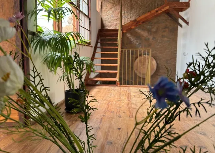 Hotel Laguna Cool Living La Laguna (Tenerife)